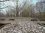 IMG_20260301_164957