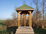IMG_20260315_175929