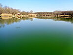 Víztükör