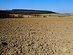 Zalai-dombság