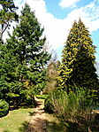 Arborétum részlet