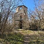 20260301_115558