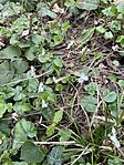 IMG-9abe694273e892dac8c7480b60200134-V