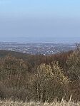 IMG_0269