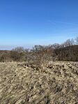 IMG_0266
