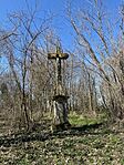 IMG_0358