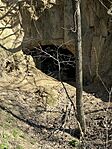 IMG_0357