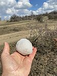 IMG_0466