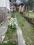 IMG_0646