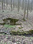 IMG_0643