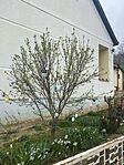 IMG_0647