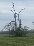 IMG_0622
