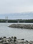 IMG_0620
