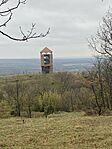 IMG_0660