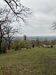 IMG_0662