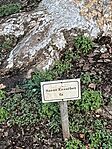 IMG_0689