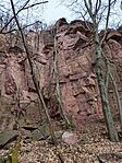 IMG_20260317_112959
