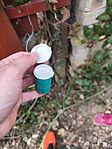 IMG_20260317_113606