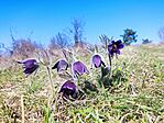 IMG_20260314_120057