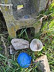 MVIMG_20260320_105157