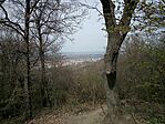 IMG_20260325_130025_258