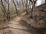 IMG_20260325_132518_863