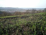 IMG_20260325_140338_025