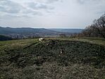 IMG_20260325_141236_809