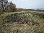 IMG_20260325_141518_966
