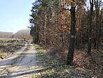 IMG_20260318_134952