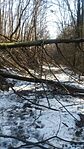 IMG_20260228_105742