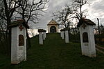 IMG_6272