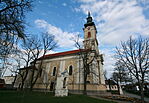 IMG_6406