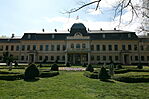 IMG_6359