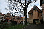 IMG_6416