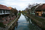 IMG_6421