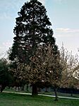 IMG_20260325_175923