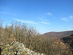 IMG_1170