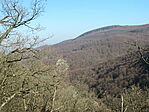 IMG_1177