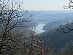 IMG_1208
