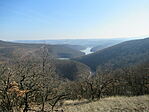 IMG_1216