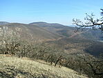 IMG_1223