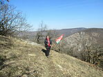 IMG_1225