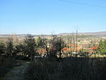 IMG_1233