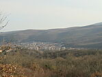 IMG_1833
