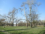 IMG_2011