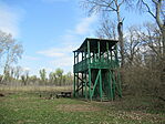 IMG_2049