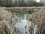 IMG_2057