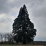 20260326_111540