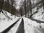 IMG_1158